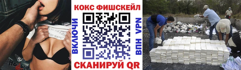 mega рабочий сайт Волосово Cocaine Fish Scale