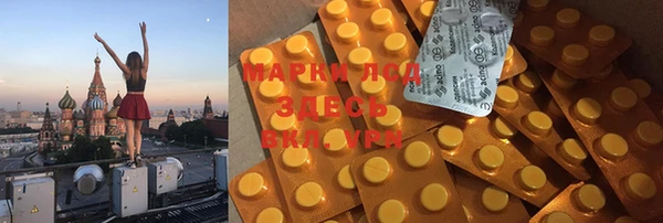 шишки Богородицк