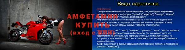 шишки Богородицк
