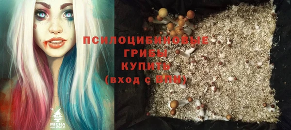 шишки Богородицк