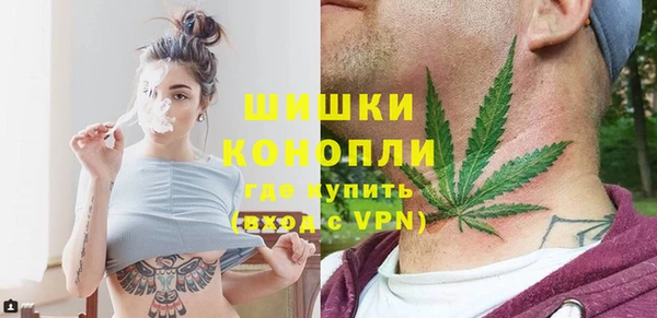 шишки Богородицк
