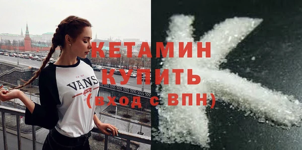 шишки Богородицк