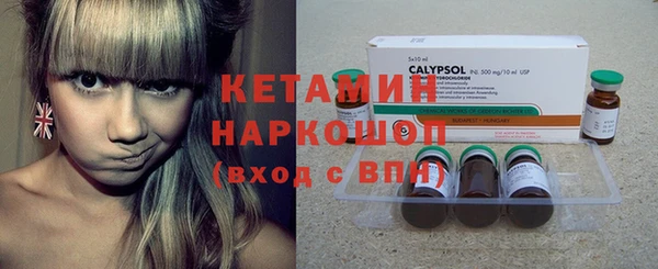 шишки Богородицк